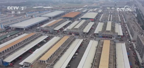 智能交易系统助力居民菜篮子 货足价稳，拎得安心