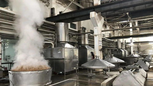 博士后科技服务团与天佑德发电技术服务的深度合作